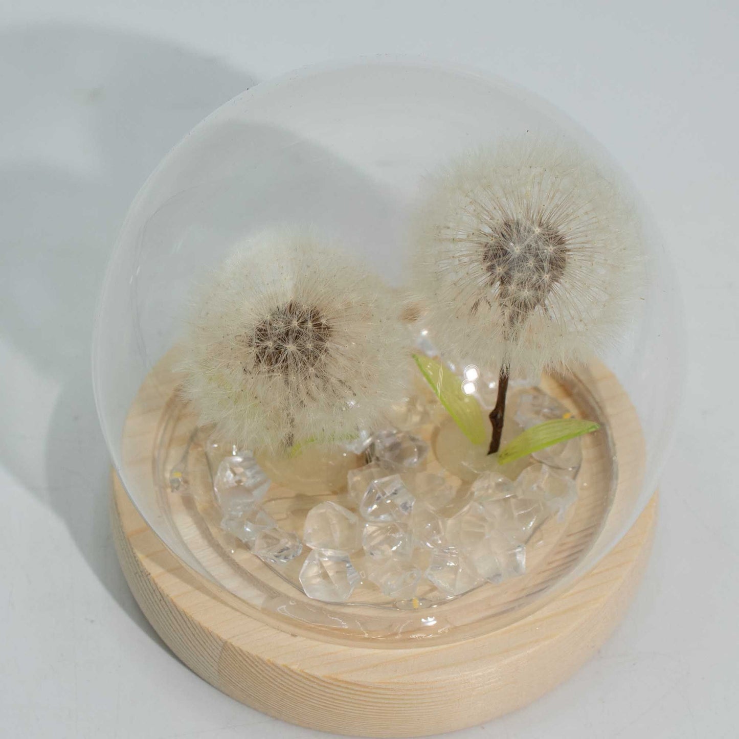 Floral Glow Garden Dome - 2 Dandelions - LED USB