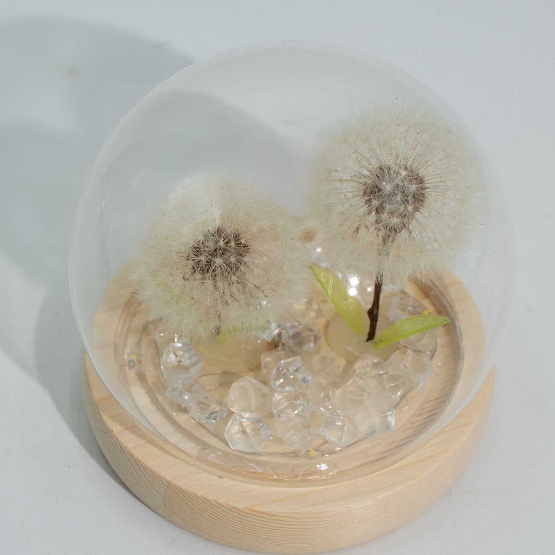 Floral Glow Garden Dome - 2 Dandelions - LED USB
