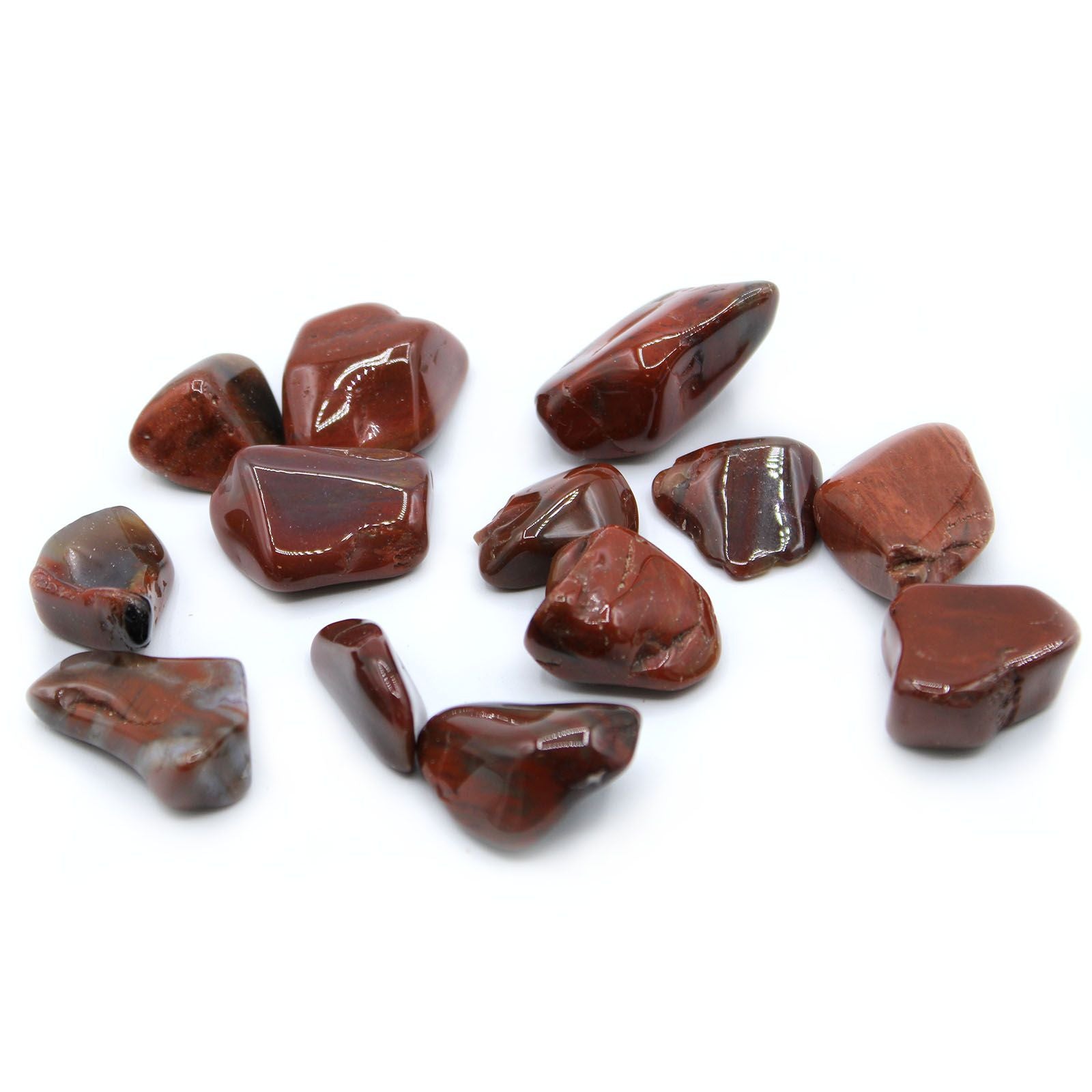Smooth polished large petrified wood tumble stone showing natural wood grain and earthy brown tones.