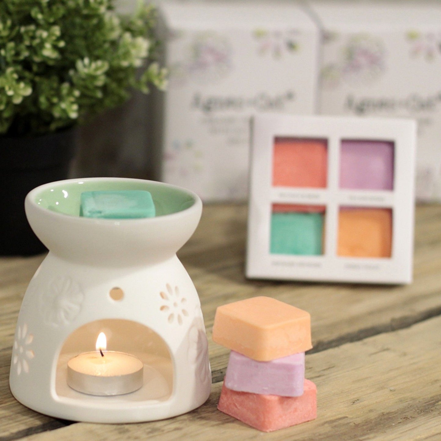 Wax Melter with Four Soy Wax Melts