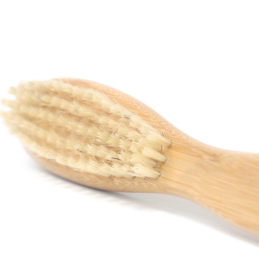 Close-up of a high-quality beard brush with natural stiff bristles and a smooth wooden handle.