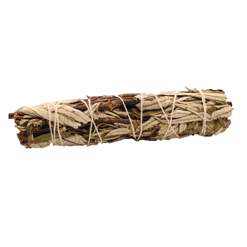 A 15cm dried black sage smudge stick bound with string, ideal for spiritual cleansing and meditation rituals.