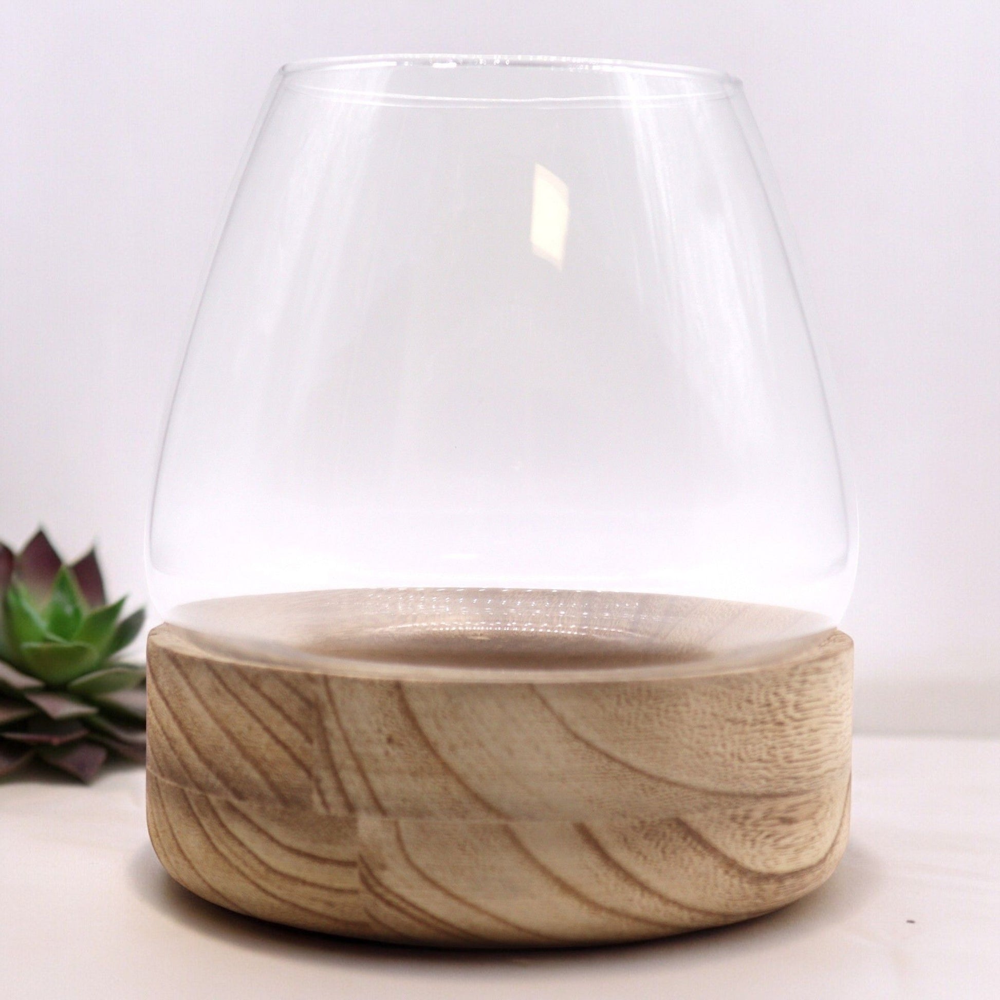 Large hand-blown glass terrarium bowl beautifully melted over a natural, rustic tung wood root base.