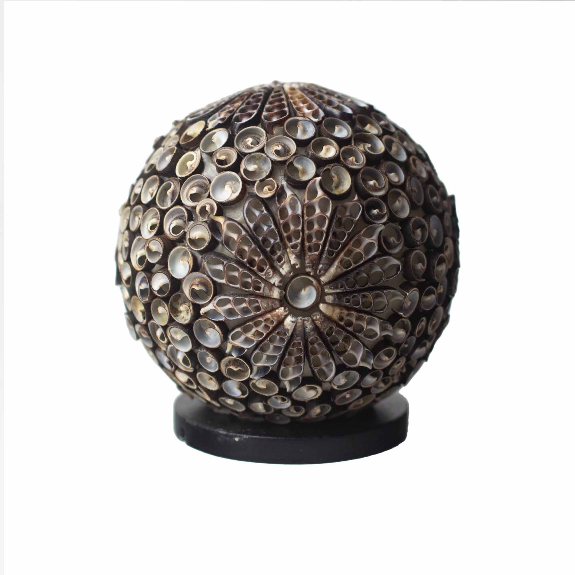 Handcrafted globe-shaped lamp made from real seashells in a decorative chocolate brown twist pattern.