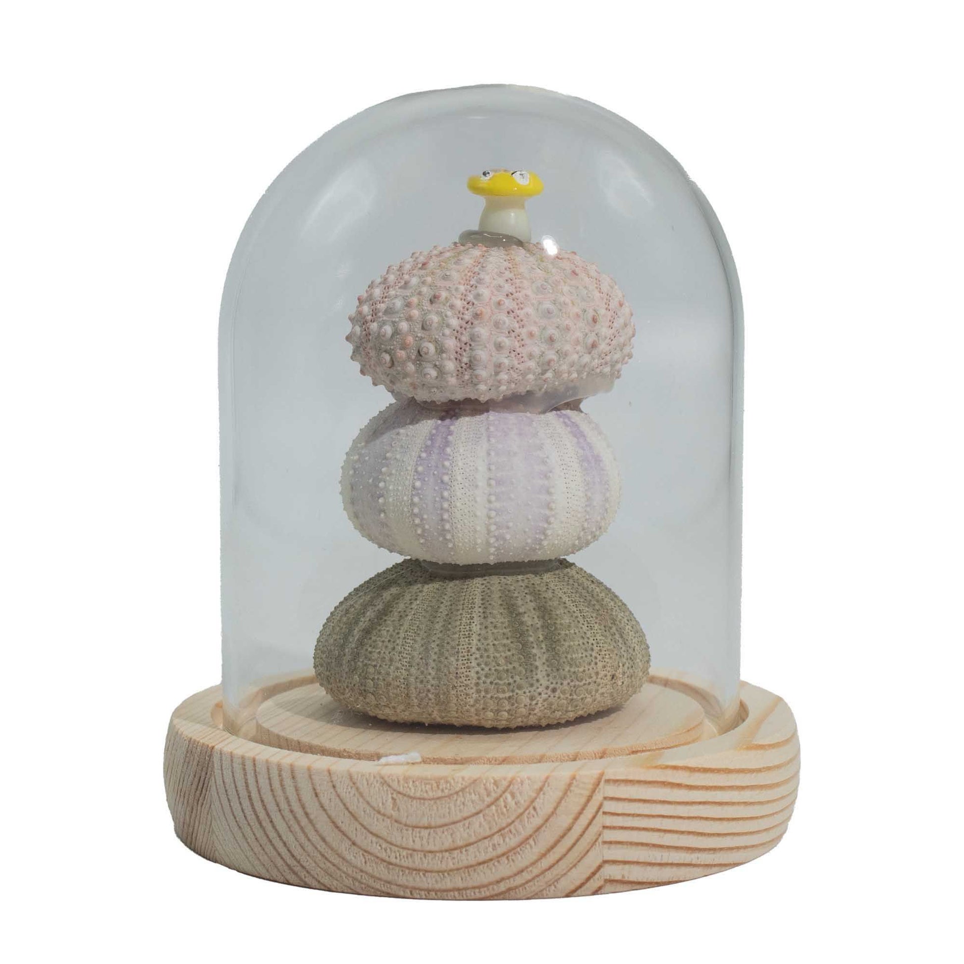 Three sculptural sea urchin shapes stacked inside a clear glass dome with soft LED lighting and a wooden base.