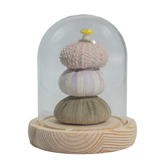 Three sculptural sea urchin shapes stacked inside a clear glass dome with soft LED lighting and a wooden base.