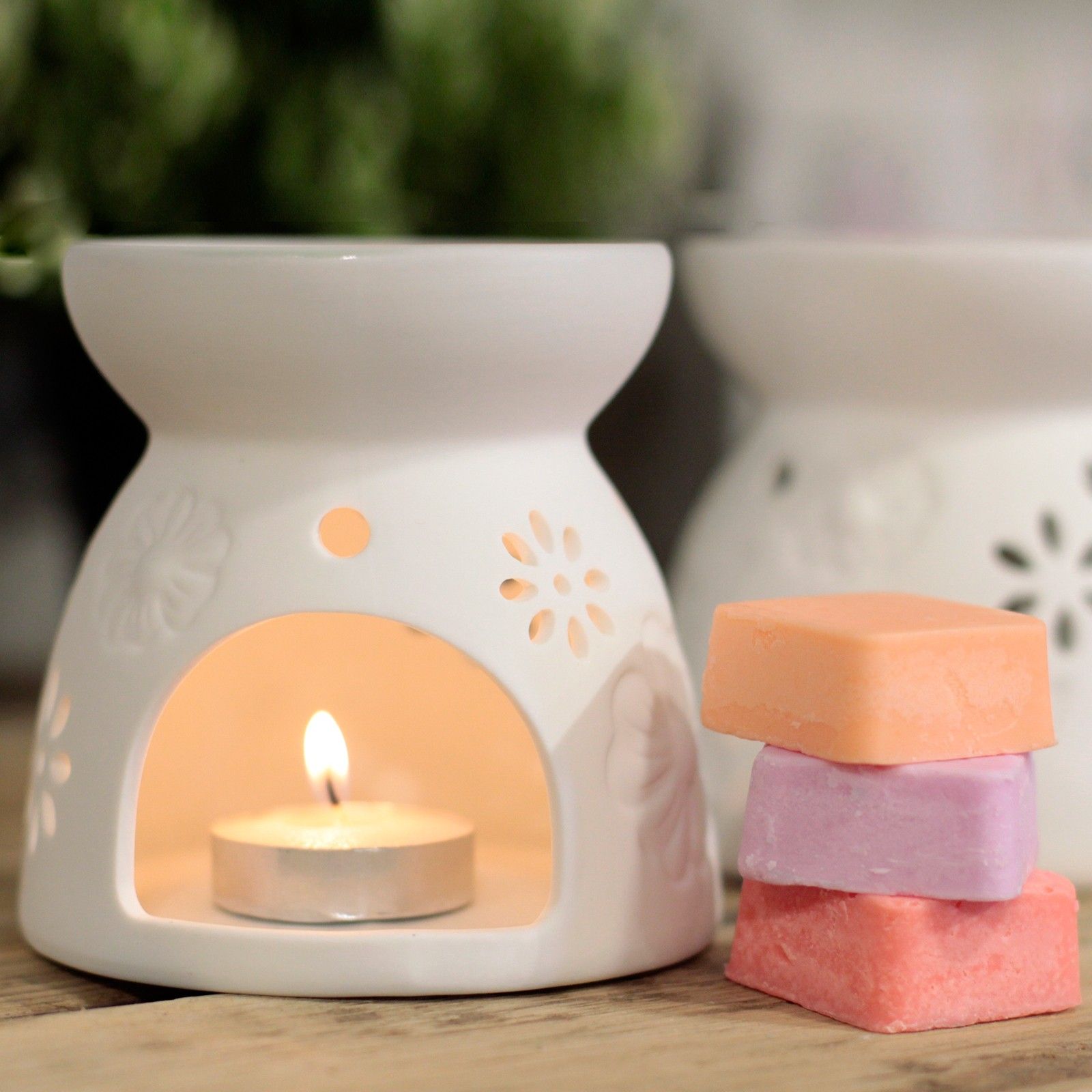 Wax Melter with Four Soy Wax Melts