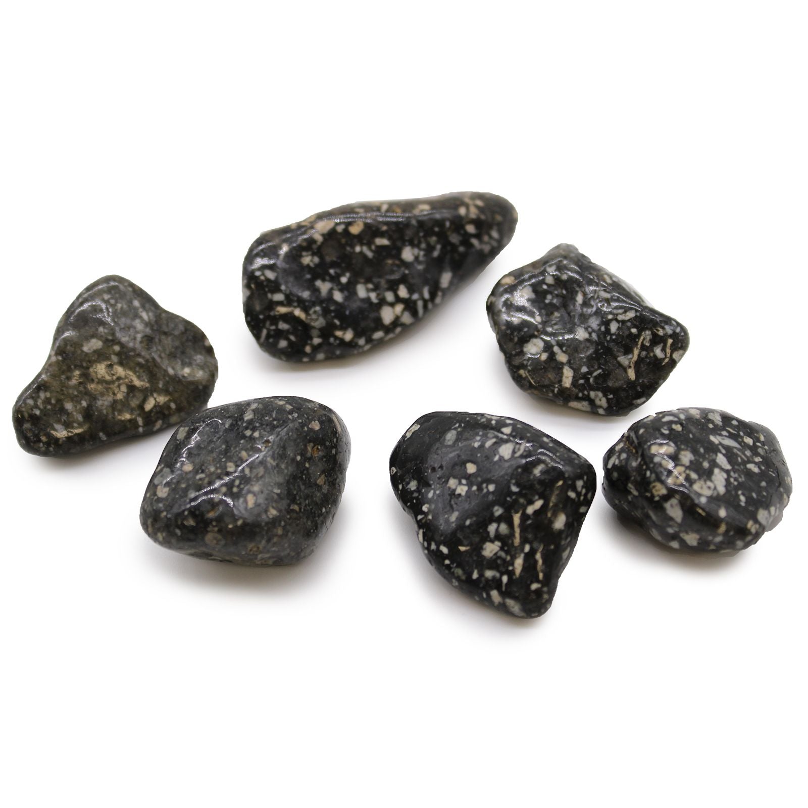 A collection of smooth, large tumbled Guinea Fowl Jasper stones with distinctive black and white speckled patterns.