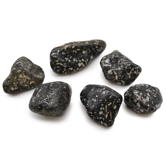 A collection of smooth, large tumbled Guinea Fowl Jasper stones with distinctive black and white speckled patterns.
