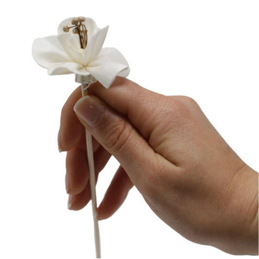 Handcrafted white lily flower made from sola wood attached to a natural reed stick for fragrance diffusion.