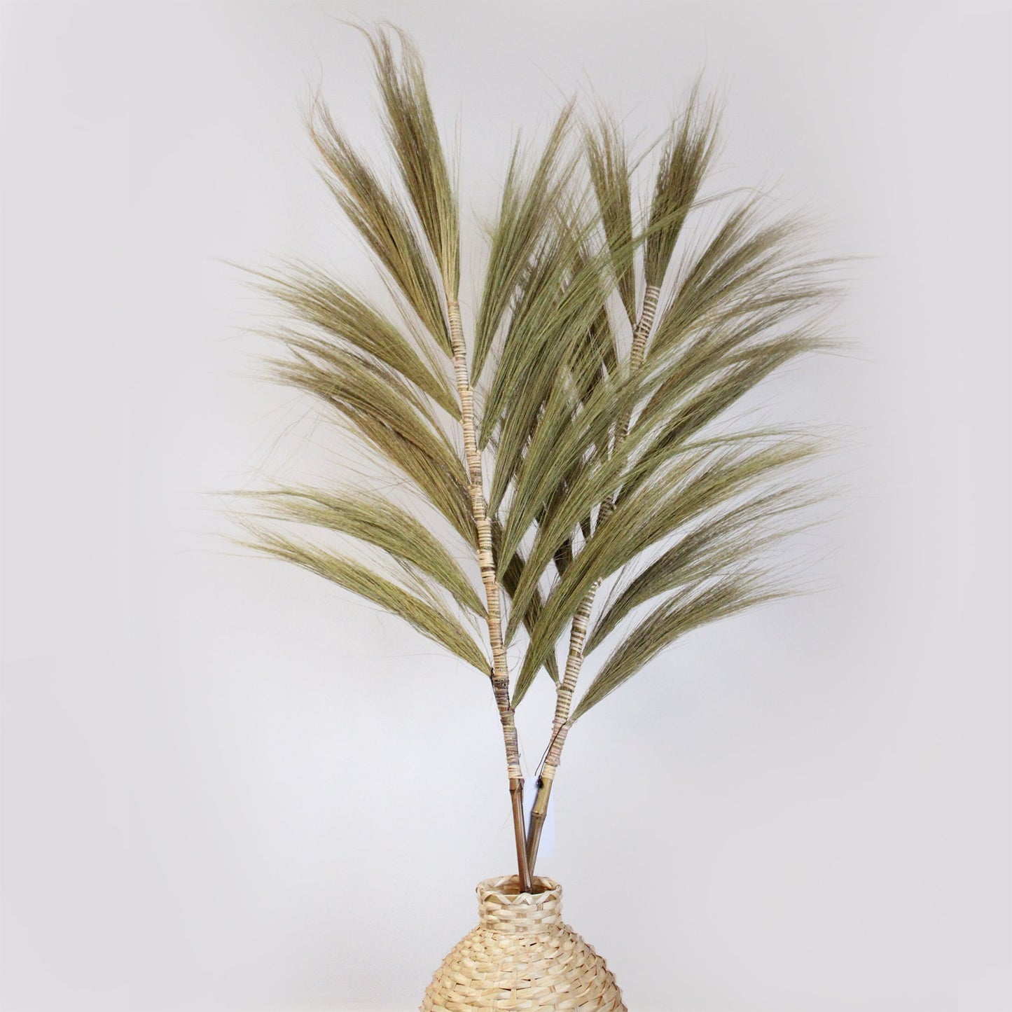 Tall natural dried rayung grass with fluffy plumes braided onto a bamboo stick in a minimalist setting.
