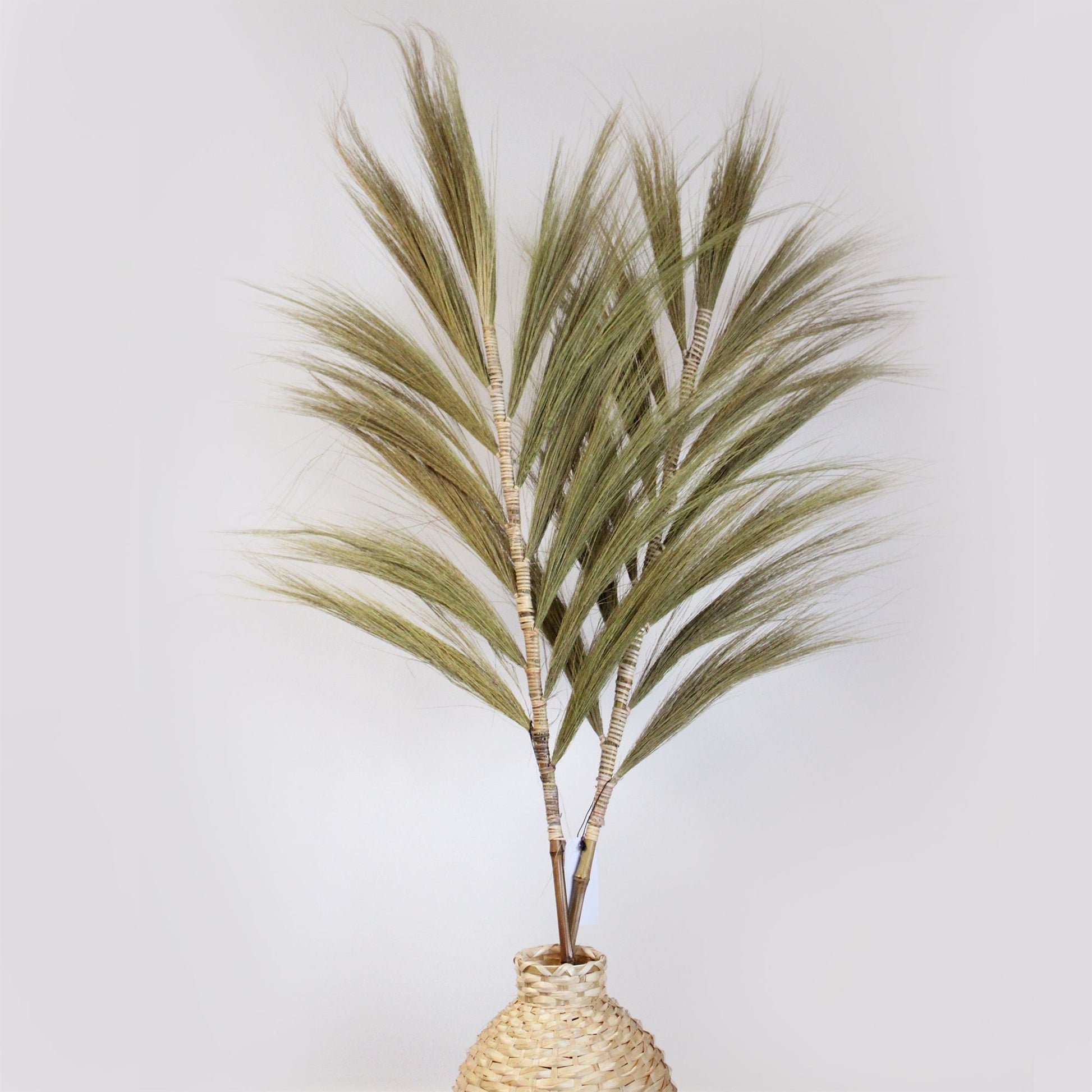 Tall natural dried rayung grass with fluffy plumes braided onto a bamboo stick in a minimalist setting.