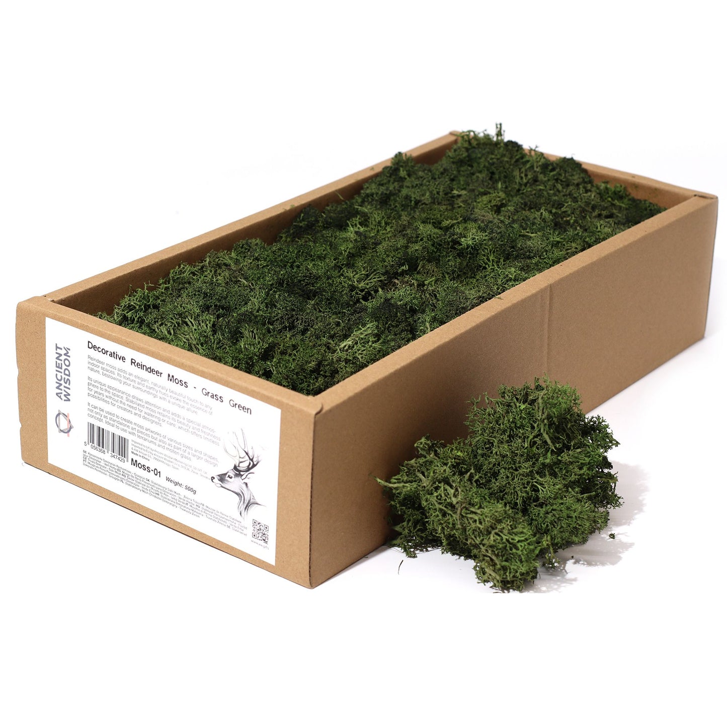 Vibrant grass green decorative reindeer moss with a soft natural texture for floristry and home decor.
