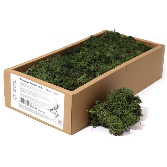 Vibrant grass green decorative reindeer moss with a soft natural texture for floristry and home decor.