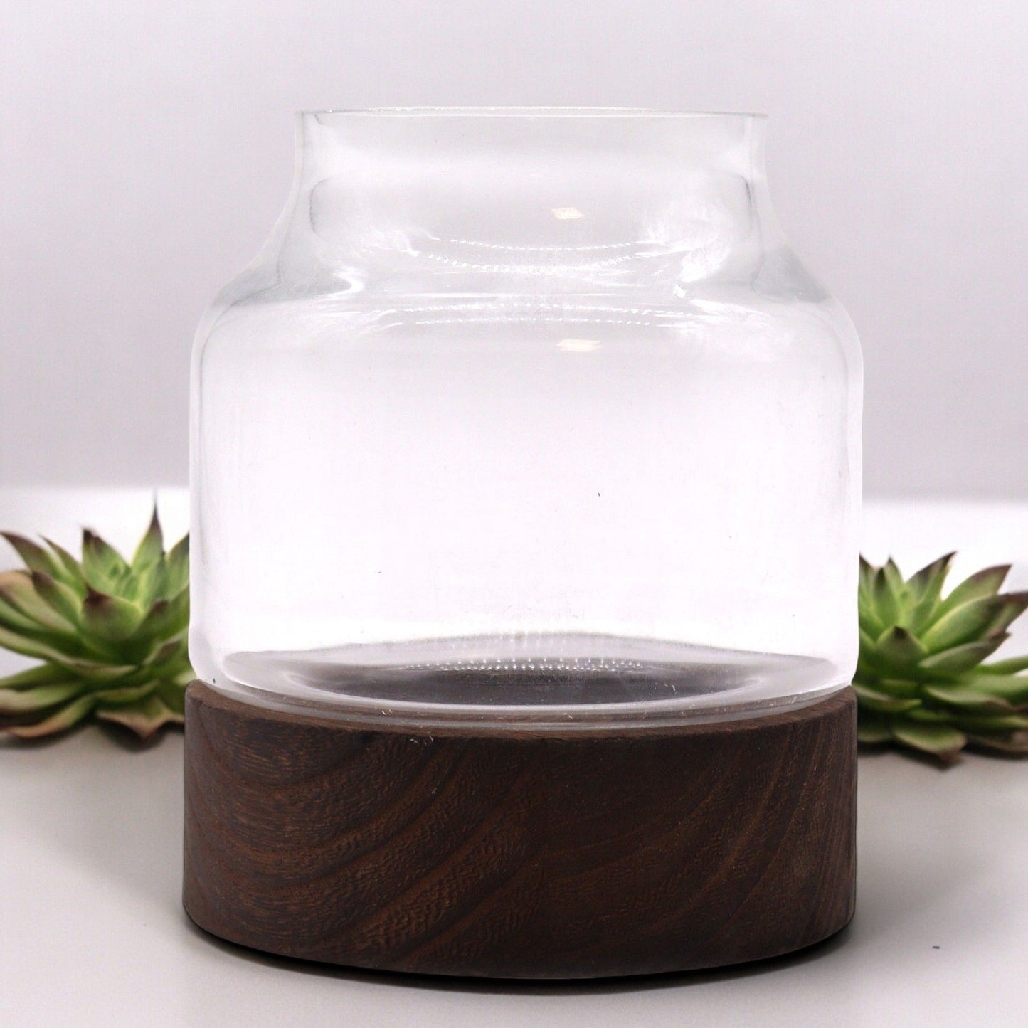 Clear glass terrarium with a unique organic shape resting on a rustic dark tung wood base.