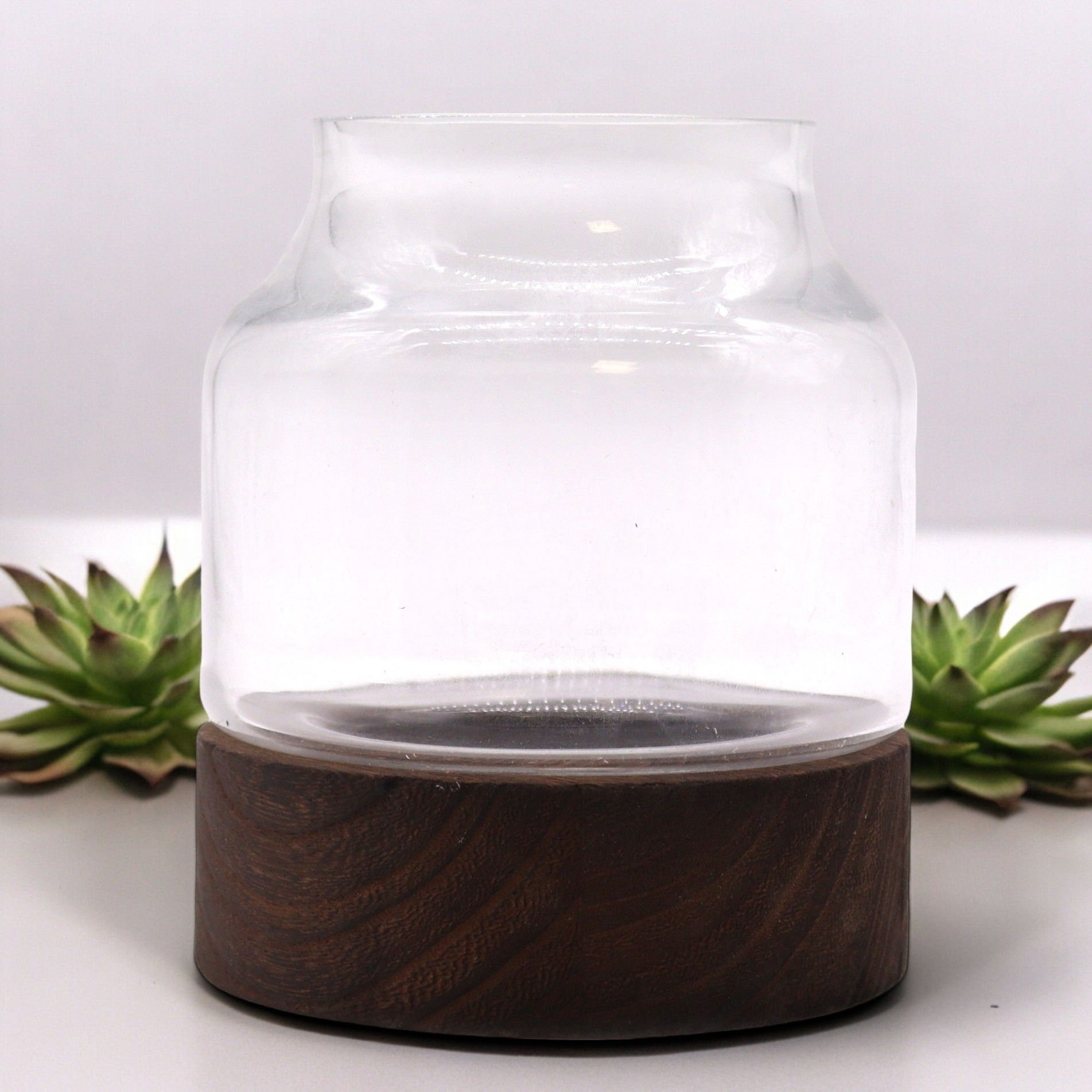 Clear glass terrarium with a unique organic shape resting on a rustic dark tung wood base.