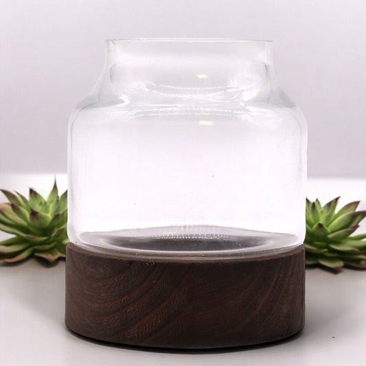 Clear glass terrarium with a unique organic shape resting on a rustic dark tung wood base.
