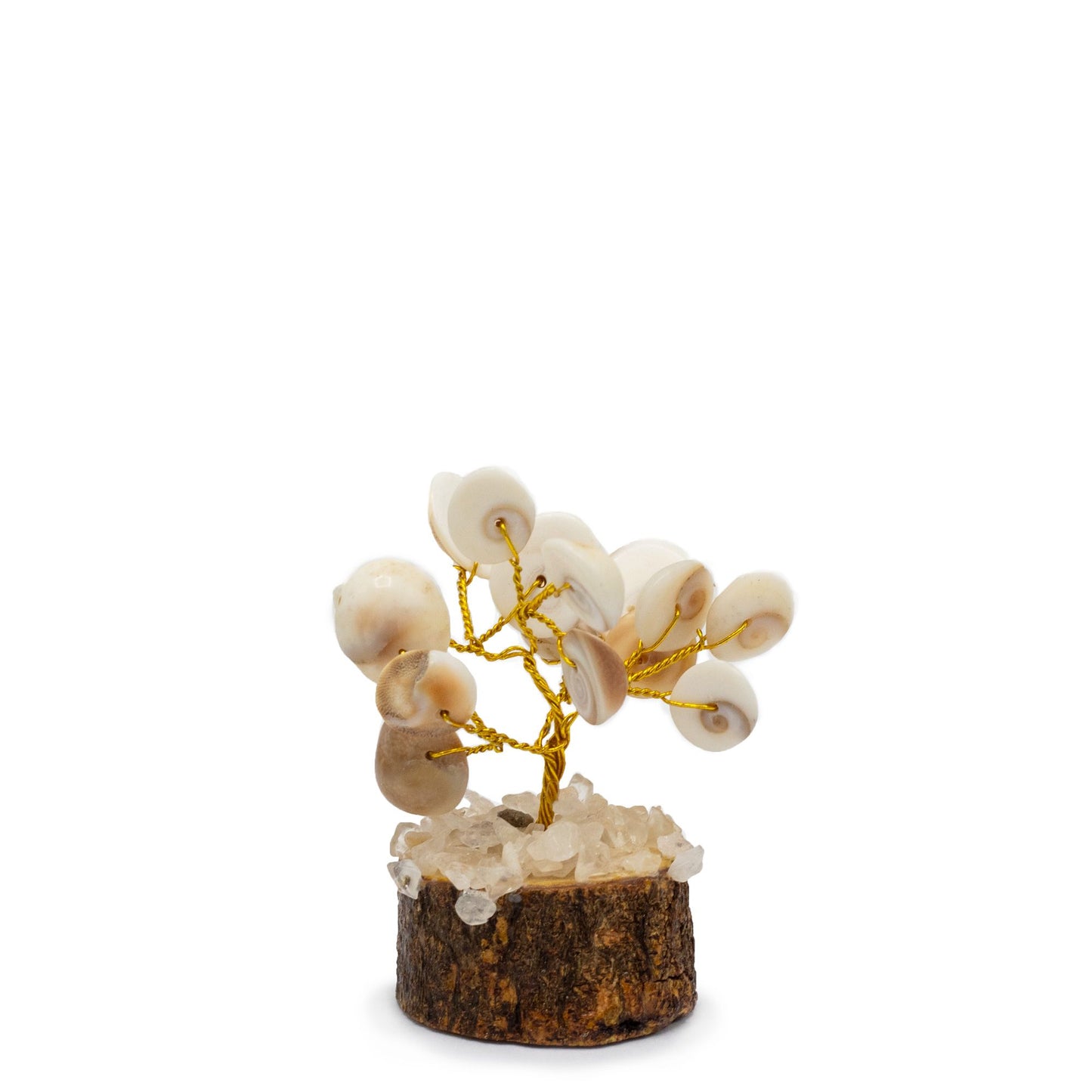 Small circular stone tree featuring white Gomati Chakra shells and brown Rudraksha seeds on twisted wire branches.