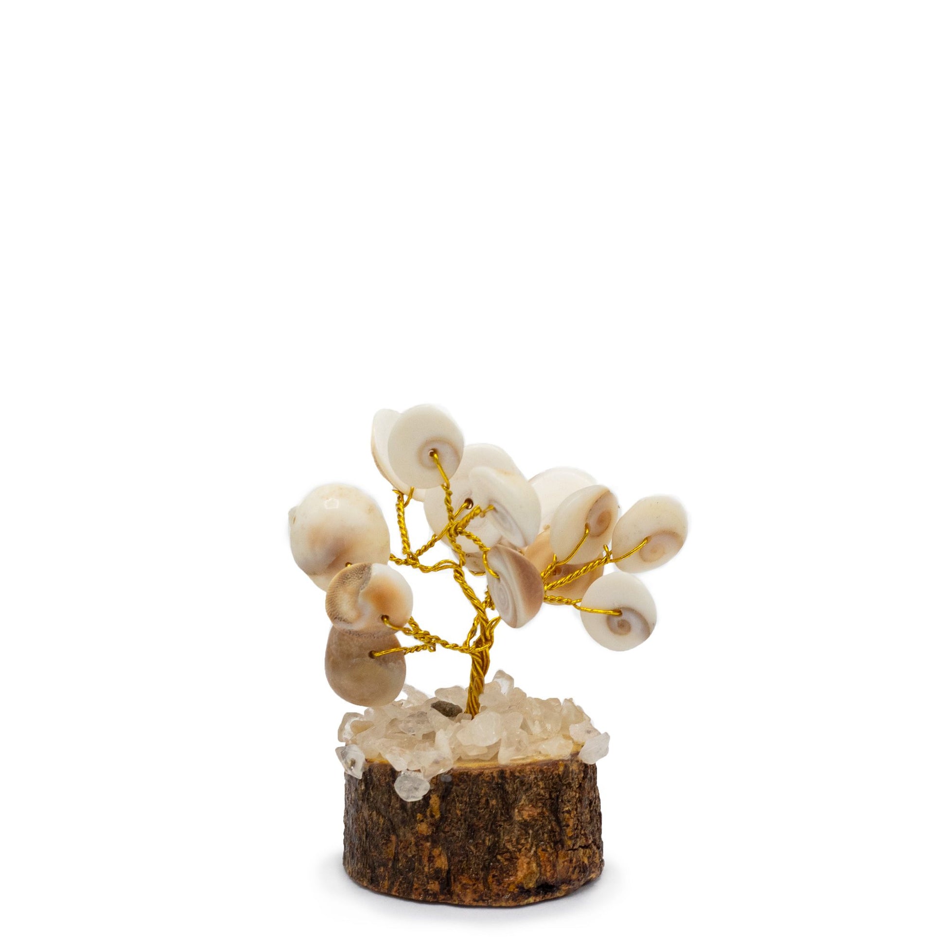 Small circular stone tree featuring white Gomati Chakra shells and brown Rudraksha seeds on twisted wire branches.