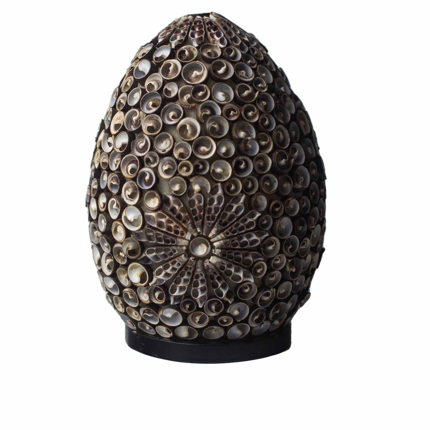 Handcrafted oval lamp featuring a spiral pattern of chocolate-toned sea shells on a black base.