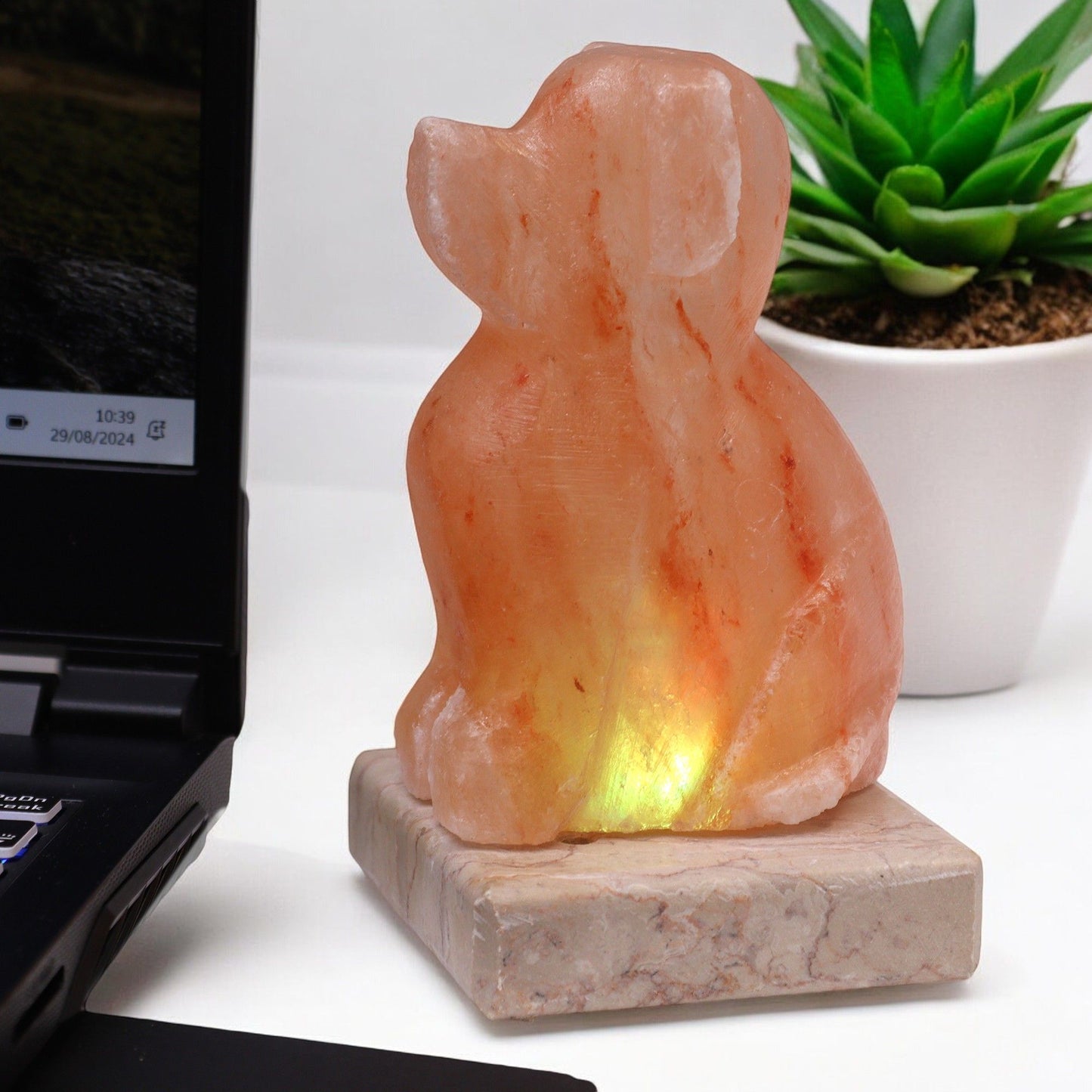 Small dog-shaped Himalayan salt lamp carved from natural pink crystal on a wooden base with a glowing interior.