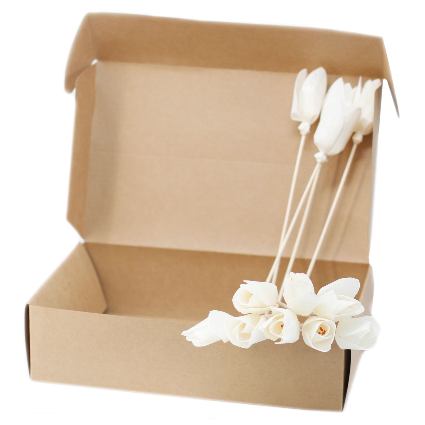 Handcrafted white sola wood flower in a tulip shape attached to a natural reed stick for fragrance diffusion.