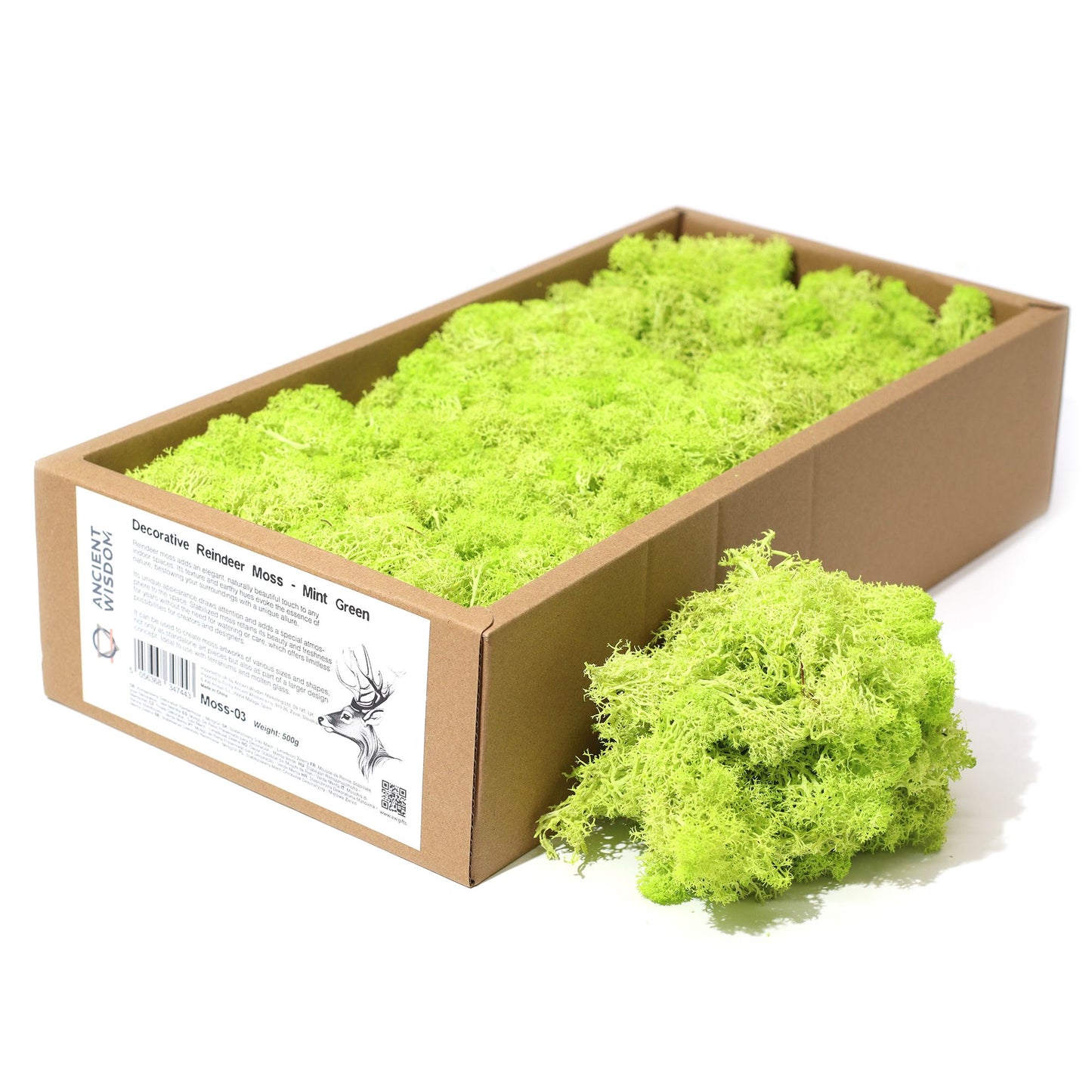 High-quality preserved reindeer moss in a soft mint green shade, ideal for decorative and crafting projects.