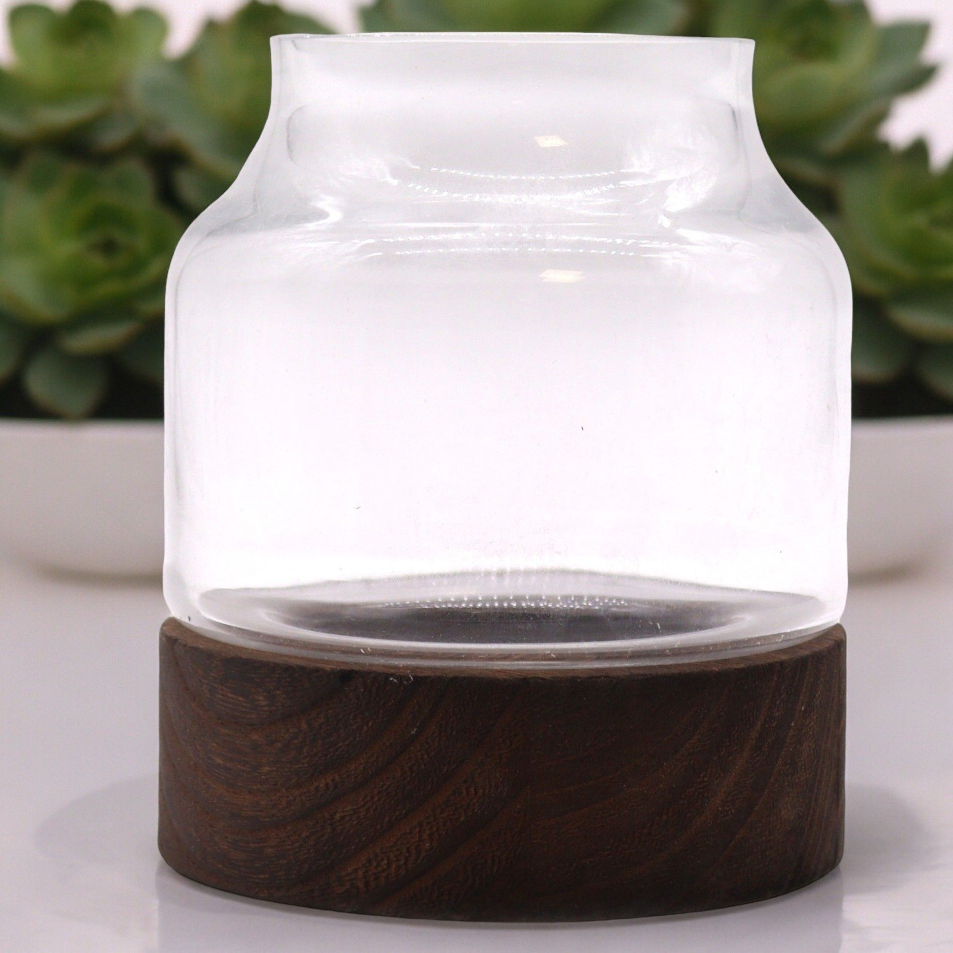 Clear hand-blown glass terrarium bowl resting on a rustic dark tung wood base with natural grain textures.