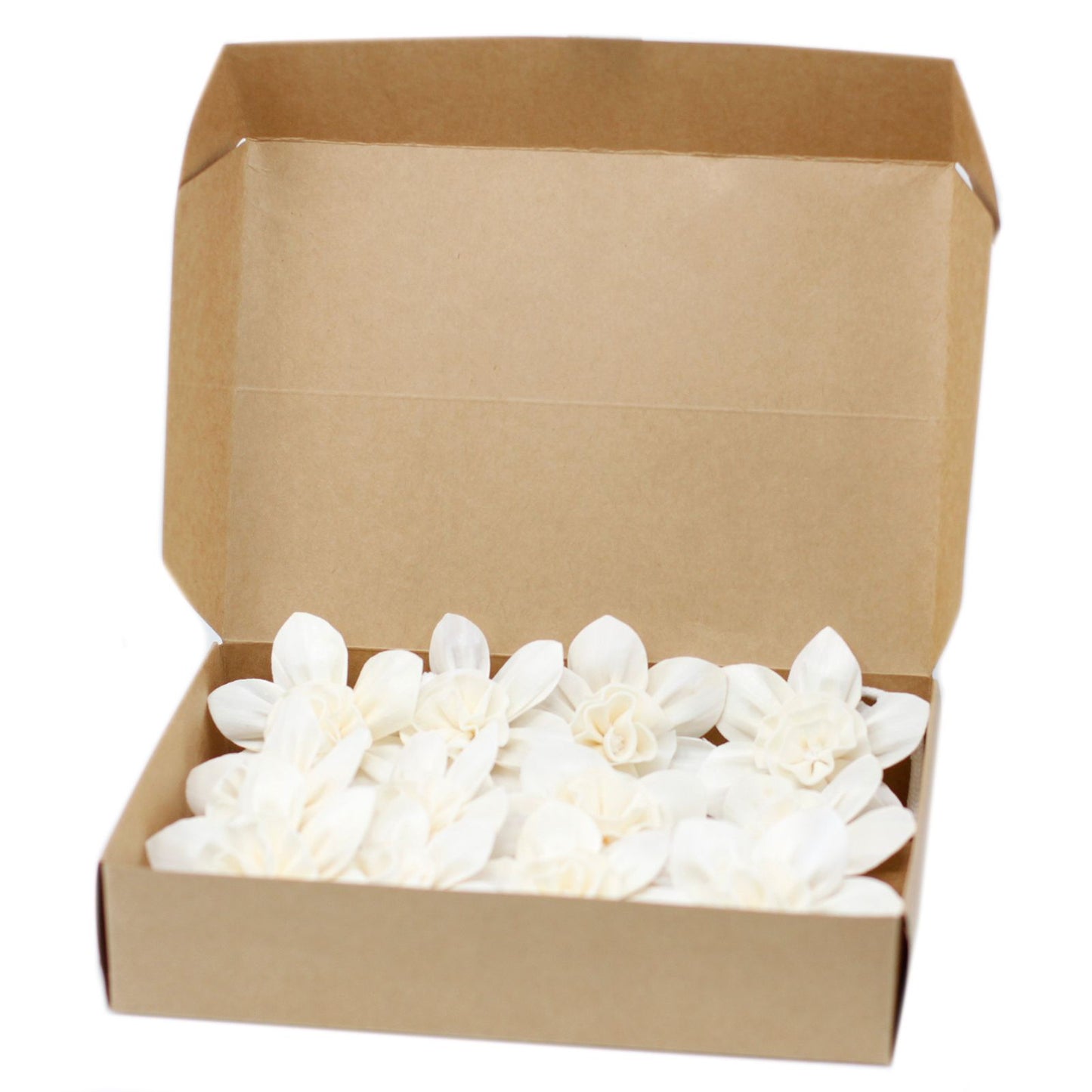 Large lily-shaped aroma diffuser flower handmade from sola wood with an attached cotton string for fragrance absorption.