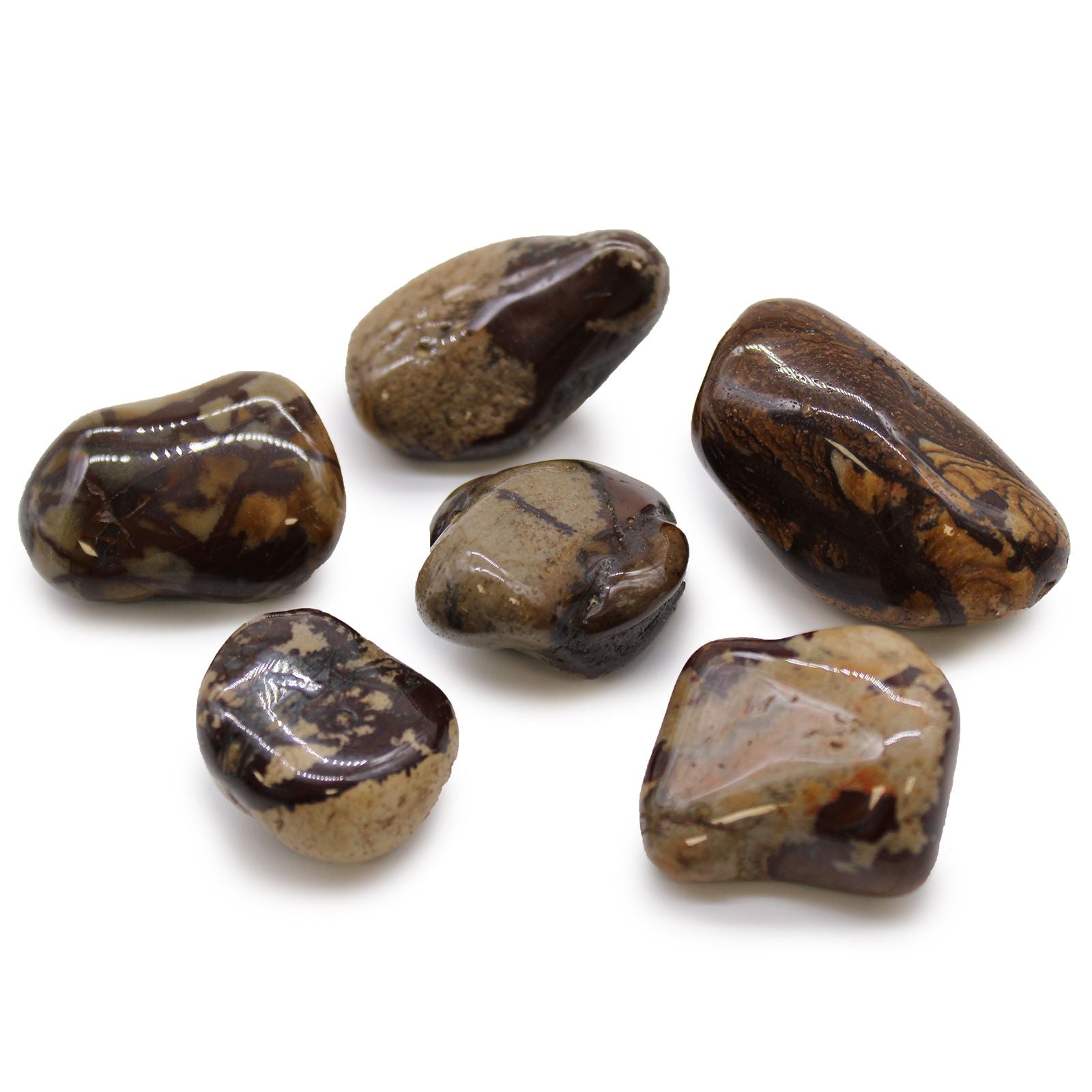 A large, smooth tumbled Nguni Jasper stone featuring unique brown, cream, and grey mottled patterns.