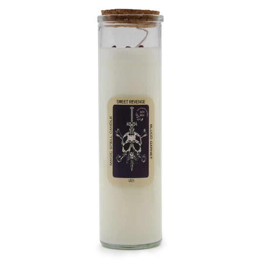 Soy wax spell candle topped with blood garnet gemstones and dried botanicals in a glass jar.