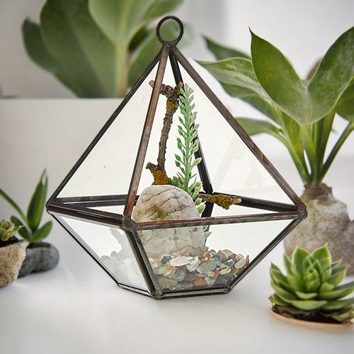 Small diamond-shaped glass terrarium with a gold-tone brass frame and a modern geometric design.