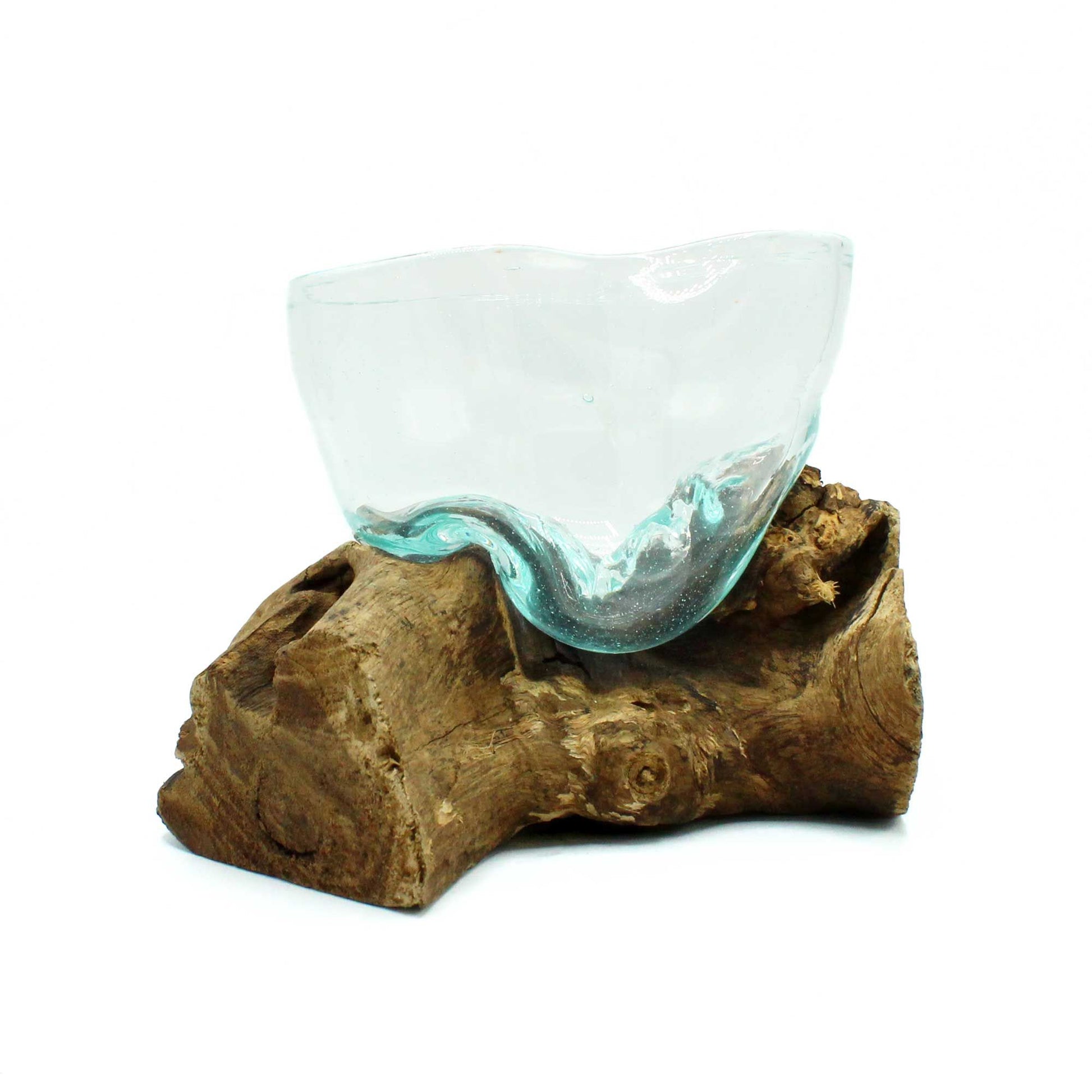 Artistic hand-blown molten glass bowl slumped over a natural rustic Gamal wood root base.