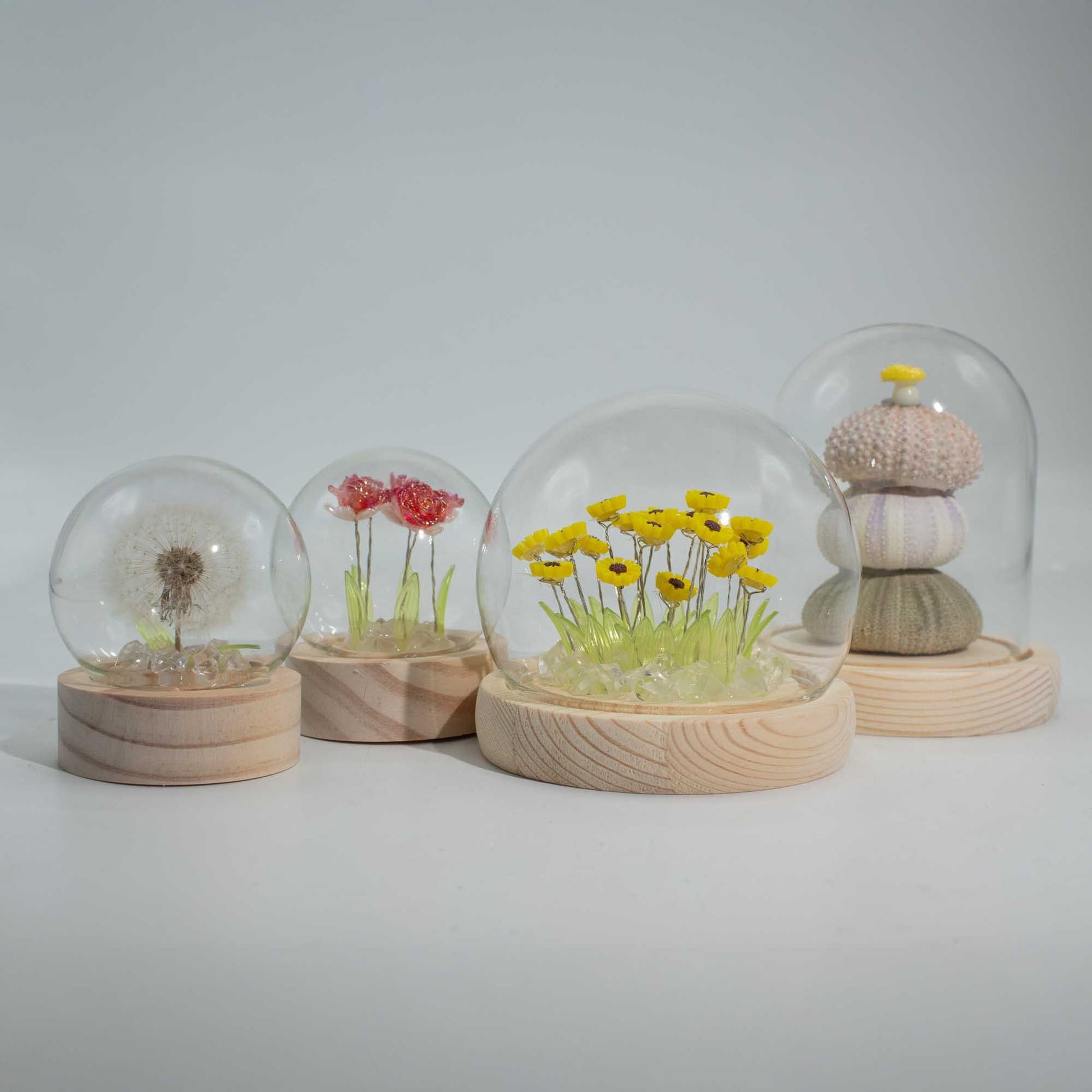 Floral Glow Garden Dome - 5 Red Roses - LED Battery