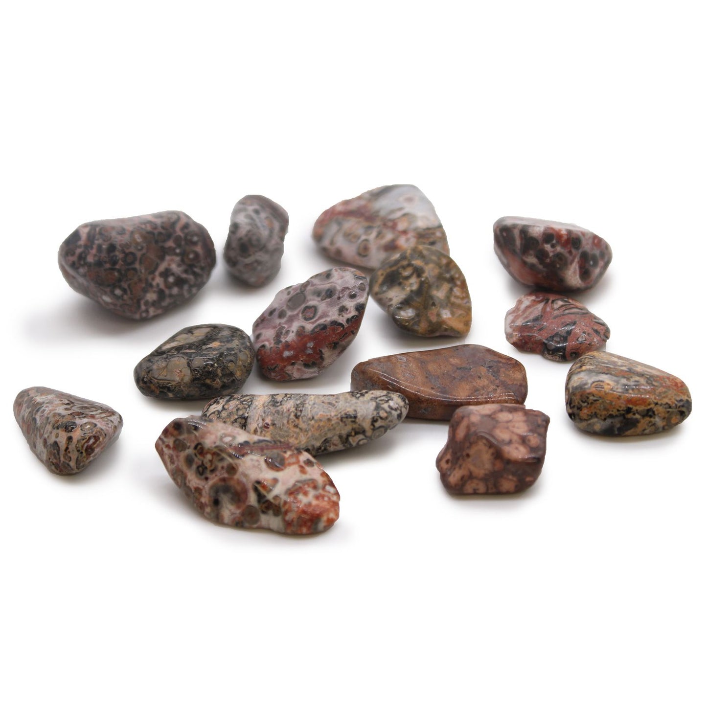Smooth, polished medium tumble stone with distinctive spotted leopard skin patterns in earthy brown and cream tones.