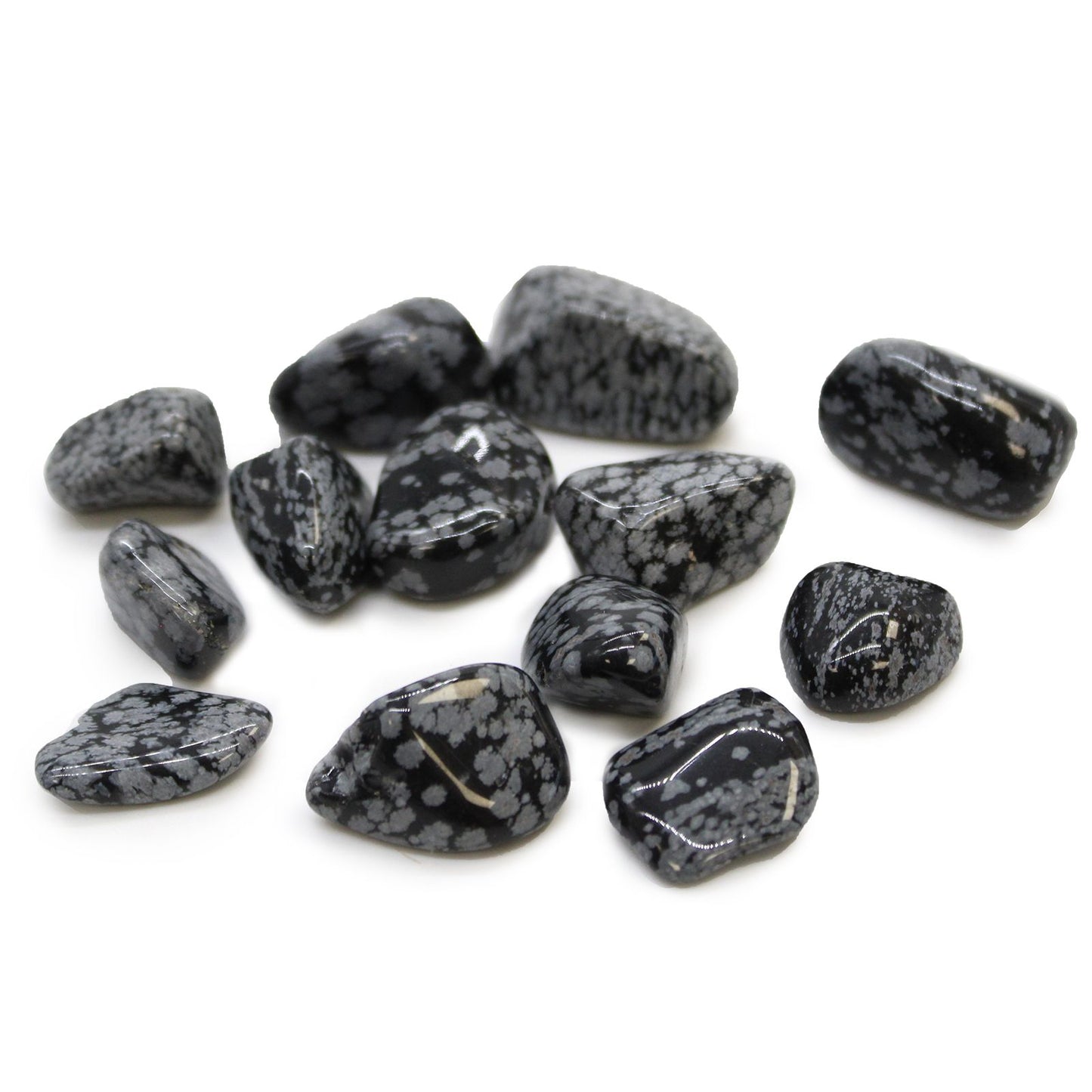A smooth, polished medium-sized black tumble stone with distinctive greyish-white snowflake-like patterns.