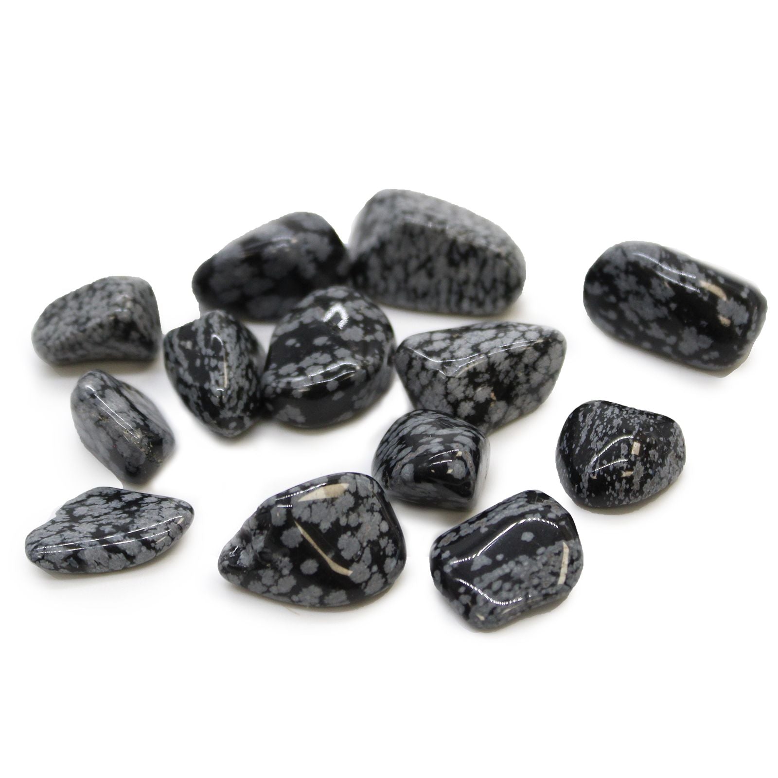A smooth, polished medium-sized black tumble stone with distinctive greyish-white snowflake-like patterns.