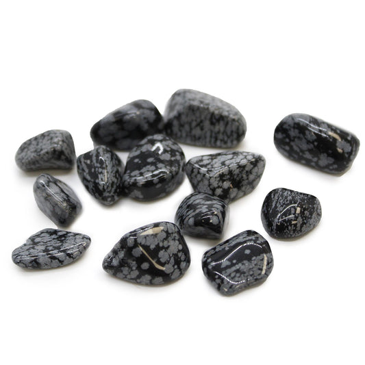 A smooth, polished medium-sized black tumble stone with distinctive greyish-white snowflake-like patterns.