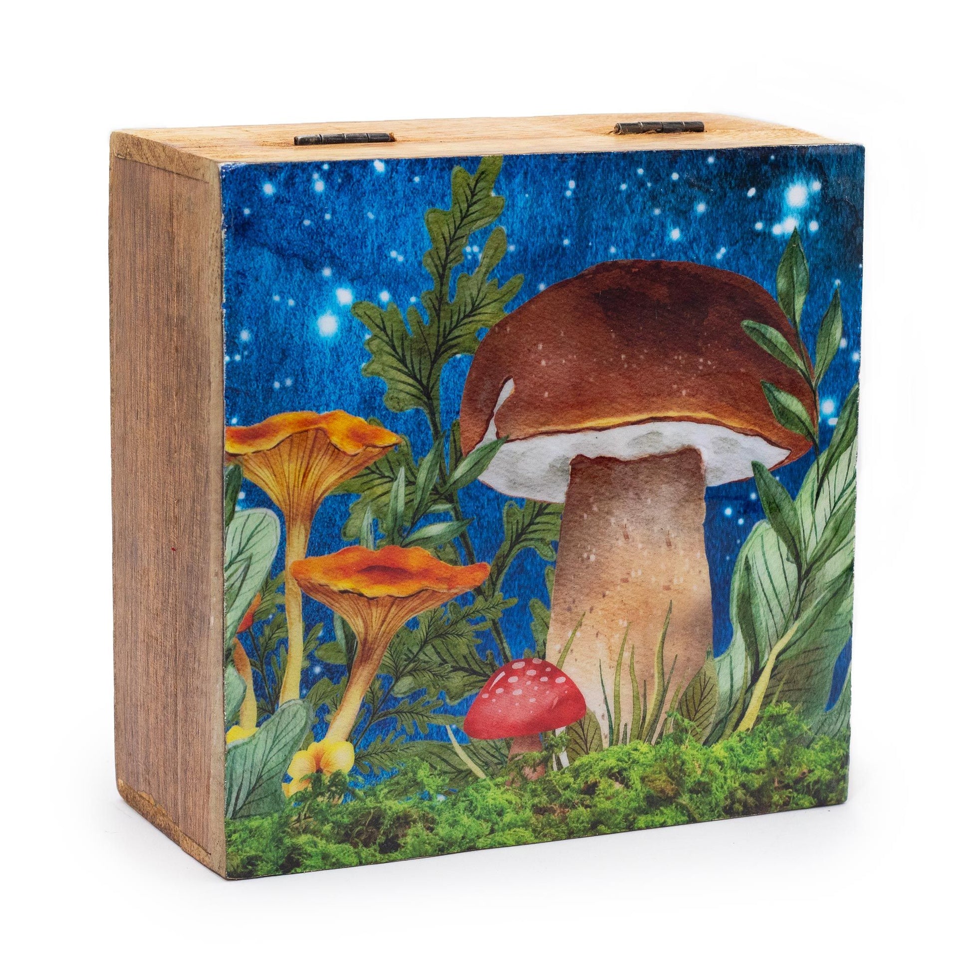 Large square teal enamelled wooden box with a decorative white mushroom illustration on the lid.
