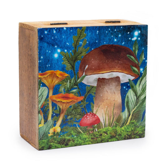 Large square teal enamelled wooden box with a decorative white mushroom illustration on the lid.