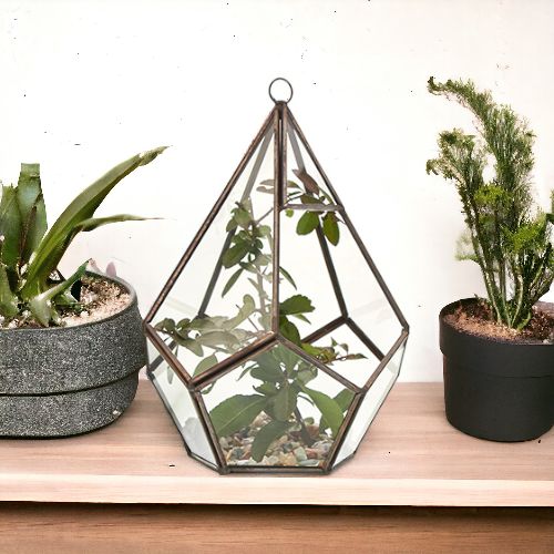 Large geometric pentagon glass terrarium with a sturdy brass frame and clear glass panels on a plain background.