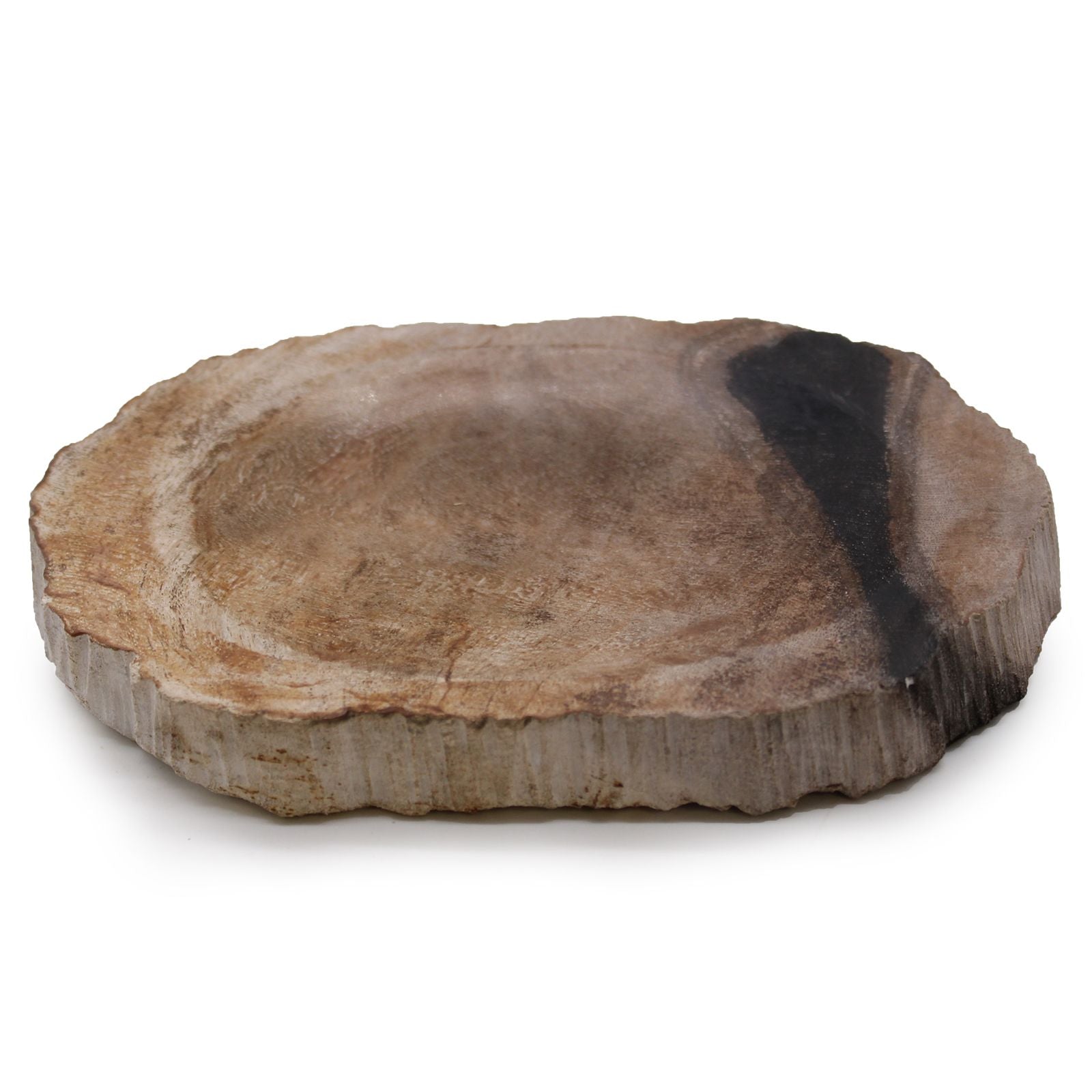 Handcrafted brown and black petrified wood soap dish with a polished top surface and natural raw stone edges.