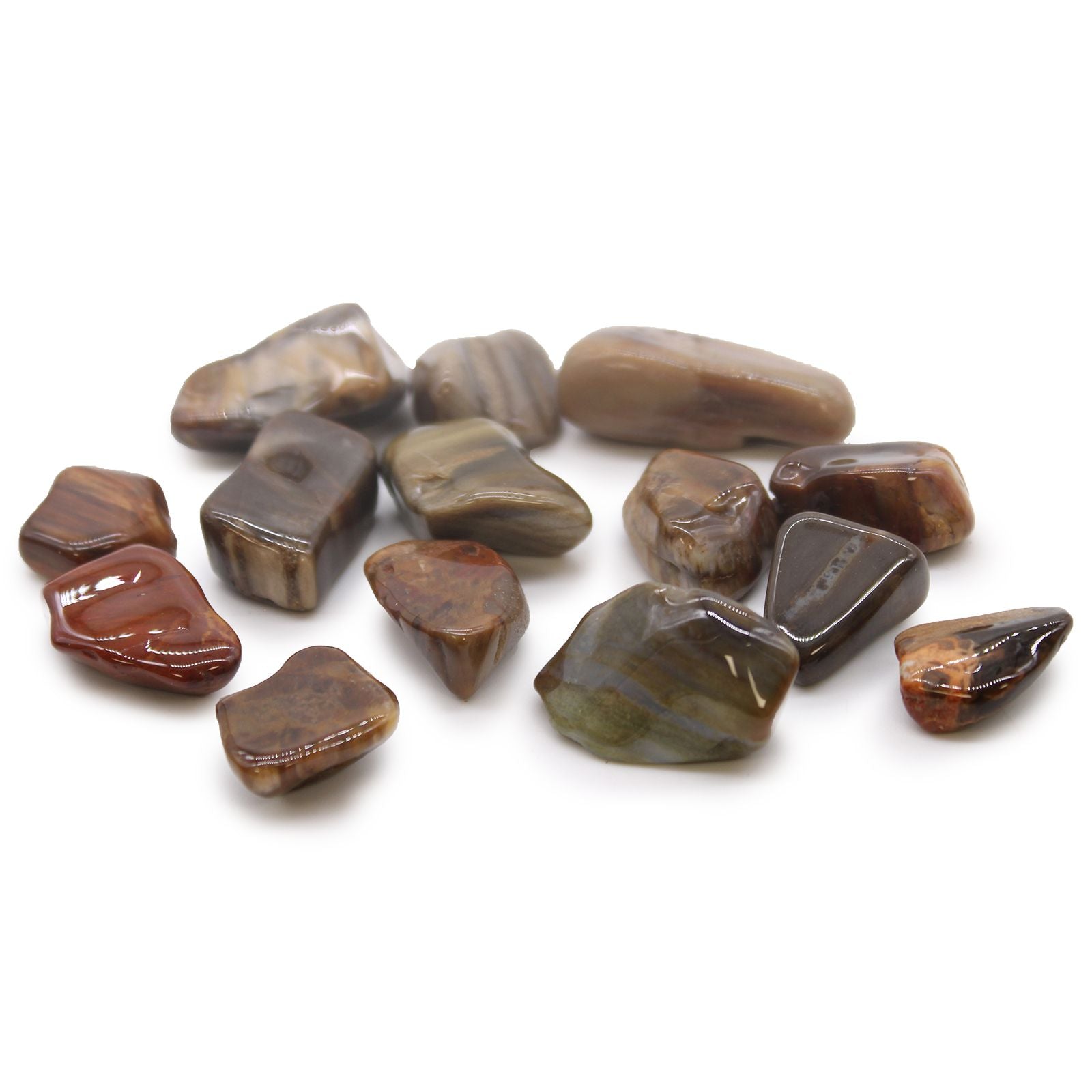 Smooth polished medium tumble stone made of fossilised wood with earthy brown and grey wood grain patterns.