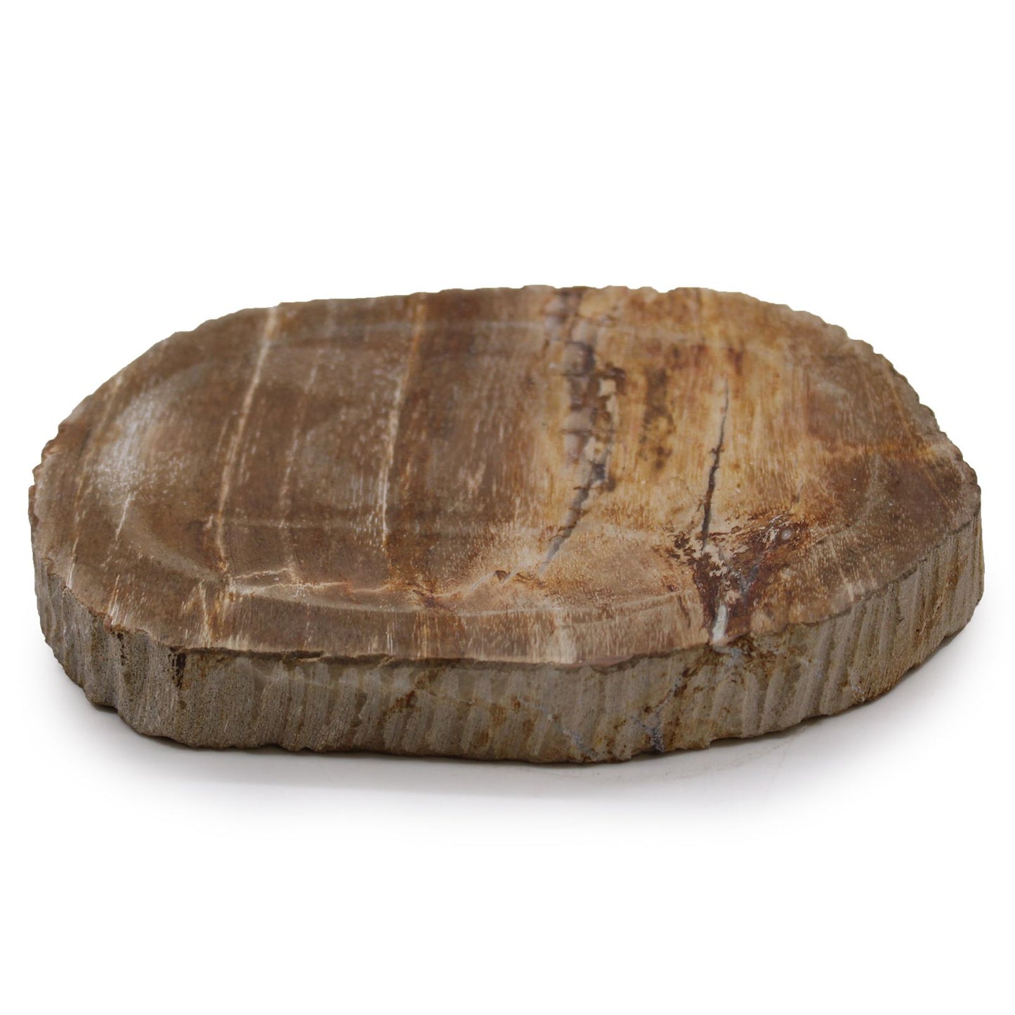 Oval-shaped brown soap dish made from natural petrified wood with a smooth polished surface and visible mineral grain.