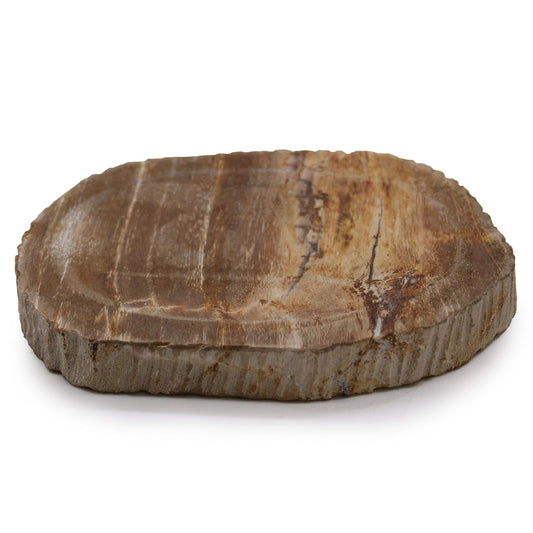 Oval-shaped brown soap dish made from natural petrified wood with a smooth polished surface and visible mineral grain.