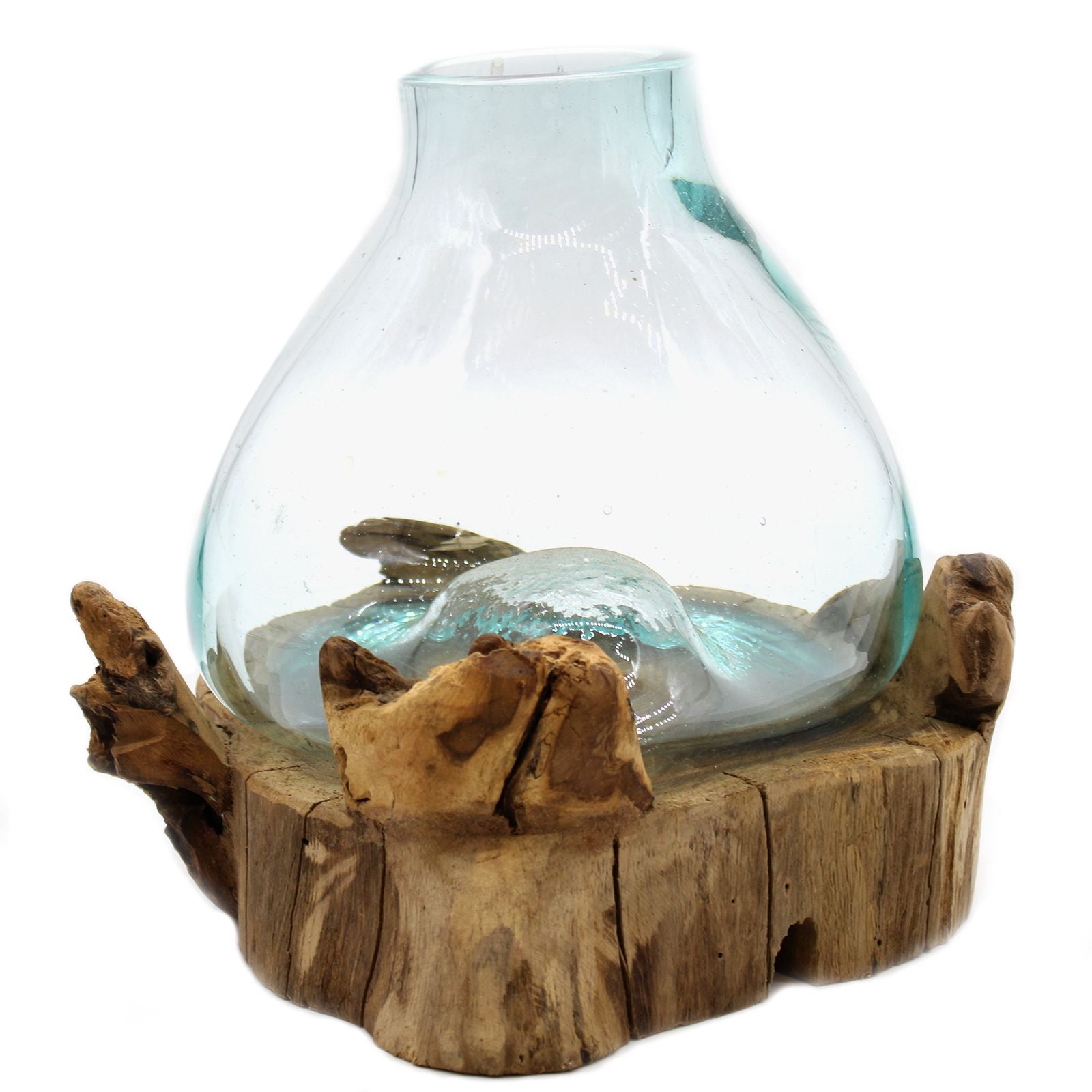 Large hand-blown molten glass bowl draped over a natural wooden root base, creating a unique organic fish tank.