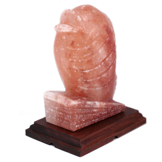 Hand-carved pink Himalayan salt lamp in the shape of a fish, emitting a warm orange glow on a wooden base.