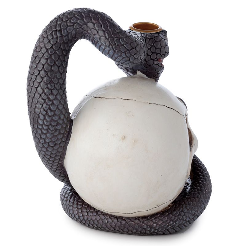 Detailed black gothic incense burner featuring a coiled snake atop a human skull with smoke flowing through the mouth.