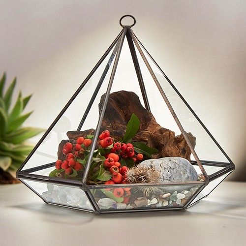 Geometric diamond-shaped glass terrarium with a sturdy brass frame and an open side for plants.