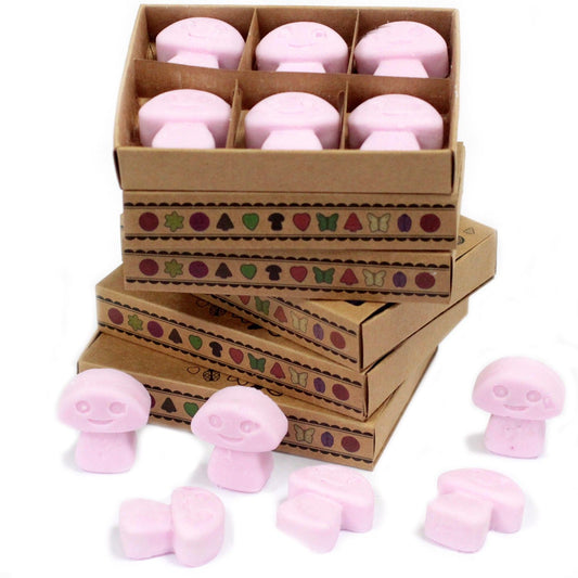 Six heart-shaped cream-coloured soy wax melts arranged neatly inside a small kraft matchbox.